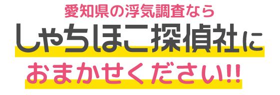 愛知県の浮気調査ならしゃちほこ探偵社にお任せください!!