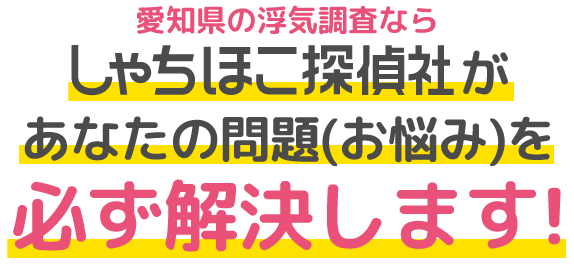 愛知県の浮気調査ならしゃちほこ探偵社があなたの問題(お悩み)を必ず解決します!